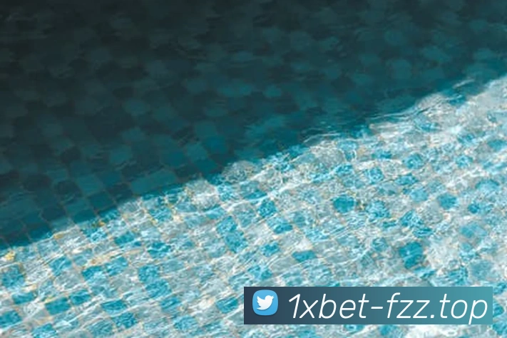 1xbet官网平台生态图